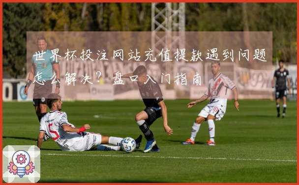 世界杯投注网站充值提款遇到问题怎么解决？盘口入门指南