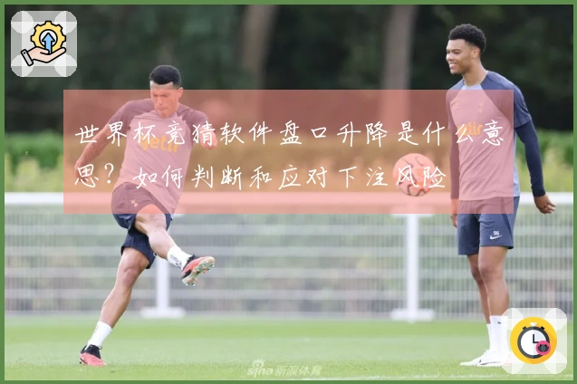 世界杯竞猜软件盘口升降是什么意思？如何判断和应对下注风险
