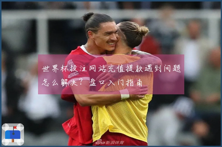 世界杯投注网站充值提款遇到问题怎么解决？盘口入门指南