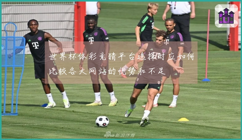 世界杯体彩竞猜平台选择时应如何比较各大网站的优势和不足