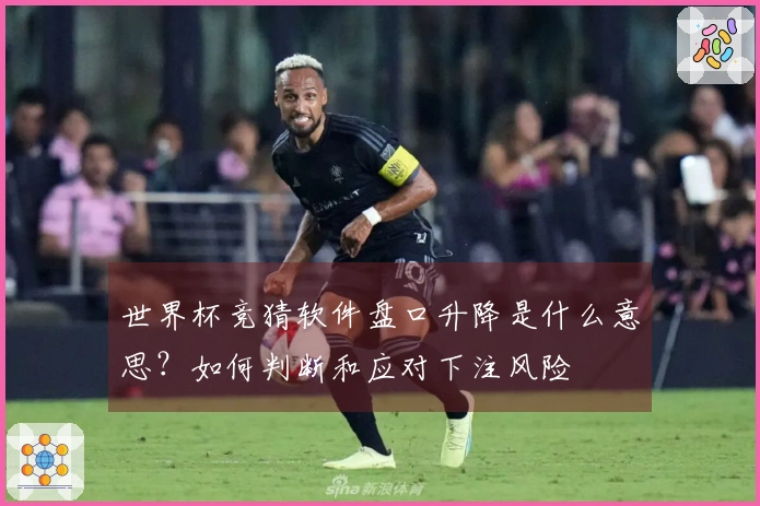 世界杯竞猜软件盘口升降是什么意思？如何判断和应对下注风险